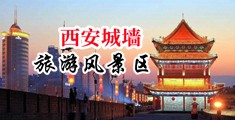 鸡巴操逼视频网址免费中国陕西-西安城墙旅游风景区